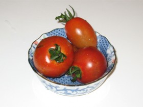 20090630_03_tomato